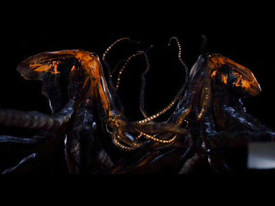 Monsters4