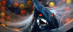 Zigragamera24