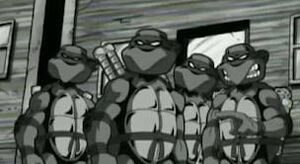 Mirage turtles