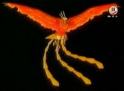 Phoenix 4.jpg