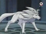 Wolfszahn 4.jpg