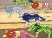Tigers und Wolfszahns Gruppe.jpg