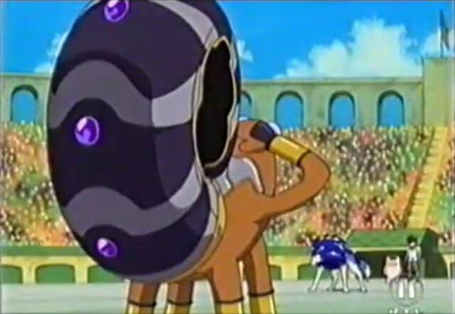 Datei:Boxerschnecke Rücken.jpg