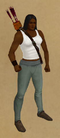 File:Gianthunting Quiver.png