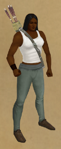 File:Frostbite Quiver.png