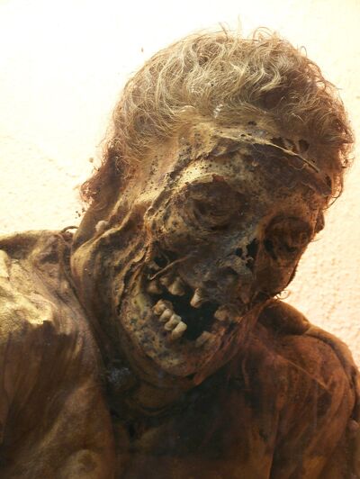 Mummy