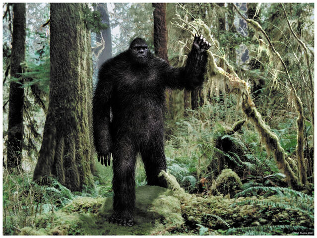File:Bigfootw.jpg