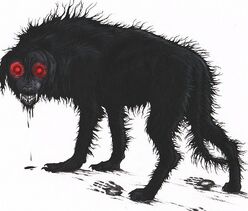 Black-dog