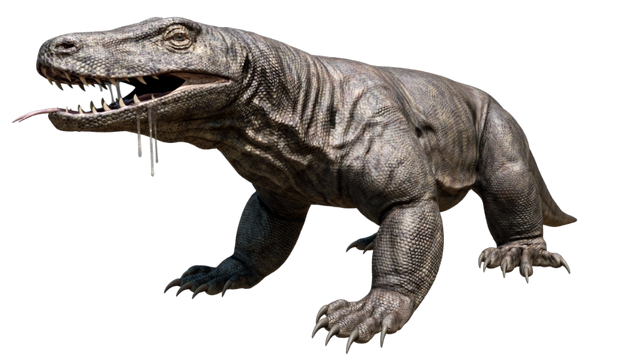 File:Megalania.png