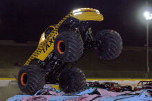 IMG 1608.jpgTMB