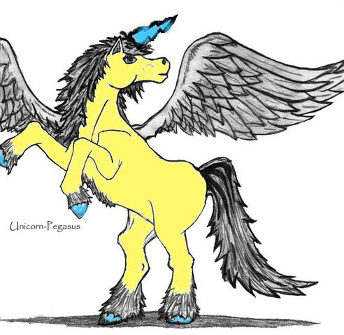 File:Fanart Unicorn5.jpg