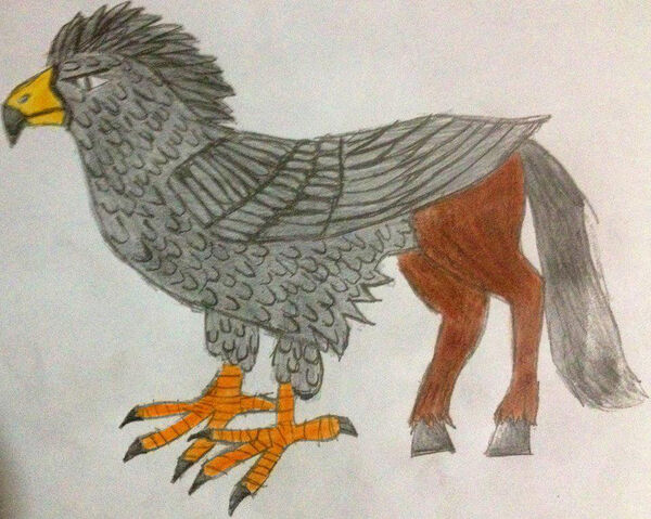 File:Fanart Hippogriff.jpg