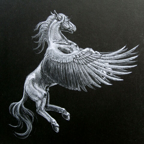 Datei:Pegasus-1-.jpg
