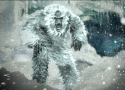 Picture 33