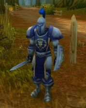Elwynn Soldier