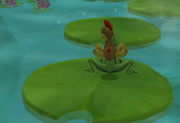 Moorhuhn und Frosch auf Seerose