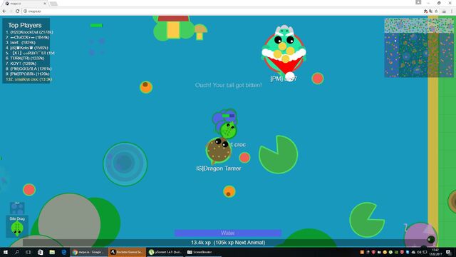 File:Smallcroc2.jpg
