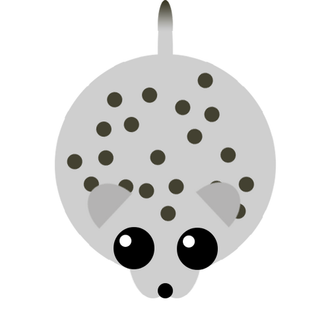 Plik:Snowleopard.png