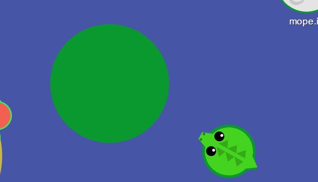File:Croc.jpg