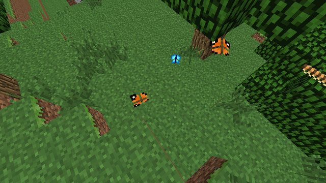 File:Butterfly Species.png
