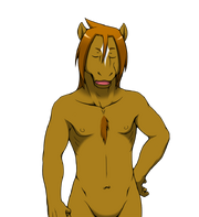 Nikaibody