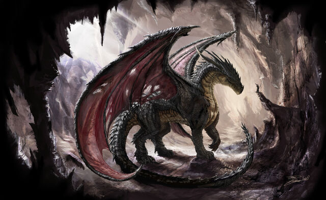 File:Black Dragon.jpg