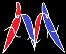 Morphopedian Logo - Version 2