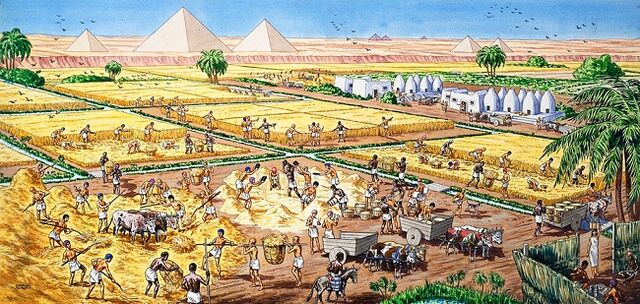 File:SoumiFarming.jpeg