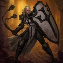 Paladin-0