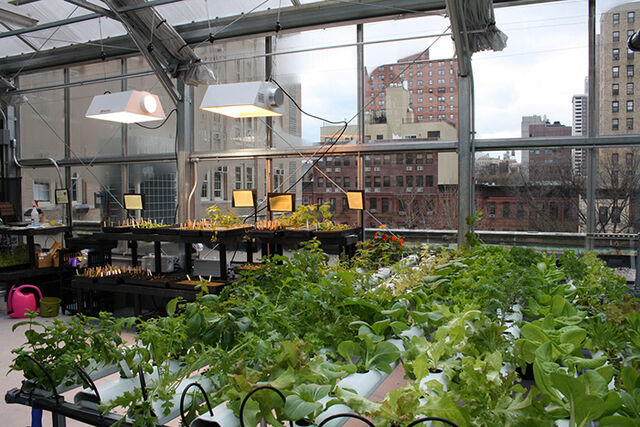File:Greenhouse.jpg