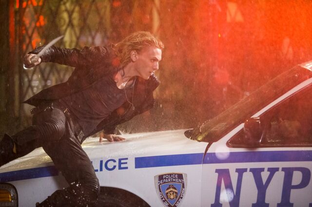 File:Cob-jace leaping.jpg