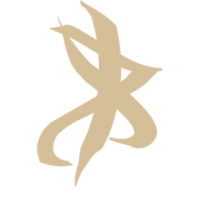 VF Rune, Vision