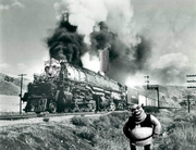 Shrek's Liger Train