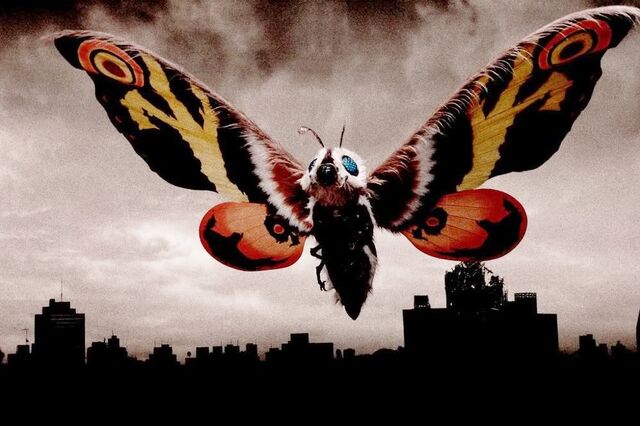 File:Mothra 2004.jpg