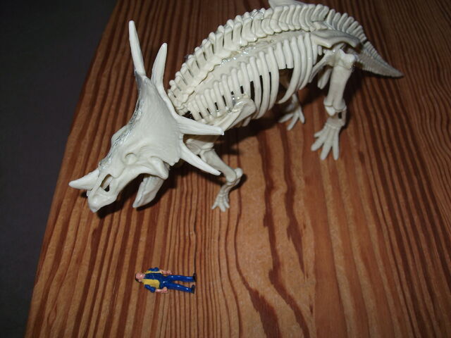 File:DSCF1470.jpg