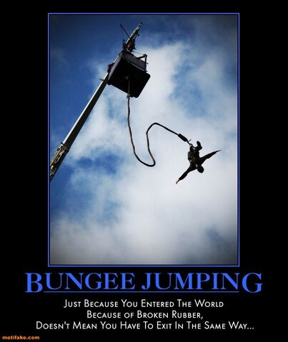 File:Bungee-jumping-bungee-jump-world-broken-rubber-demotivational-posters-1332151035.jpg