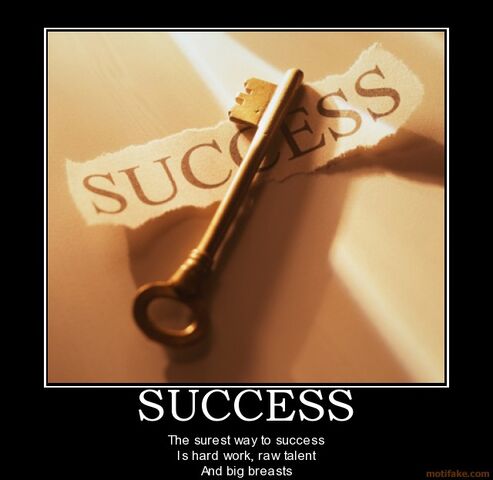 File:Success-demotivate-success-demotivational-poster-1277889123.jpg