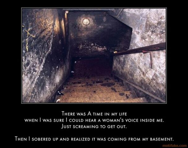 File:Moo's Basement.jpg