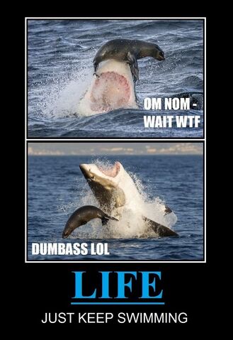 File:LIFE POSTER.jpg