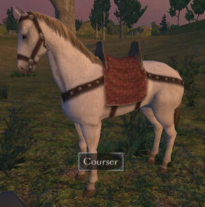 Courser