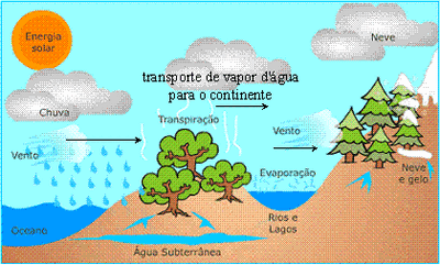 Ciclodaagua.gif