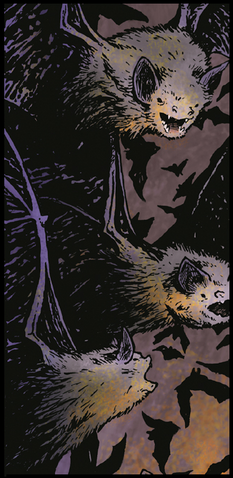 File:Bats.png