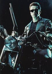 T2