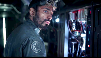 Bodhi rook