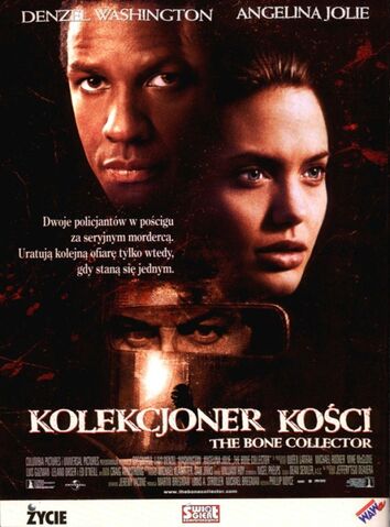 Plik:Kolekcjoner kości.jpg