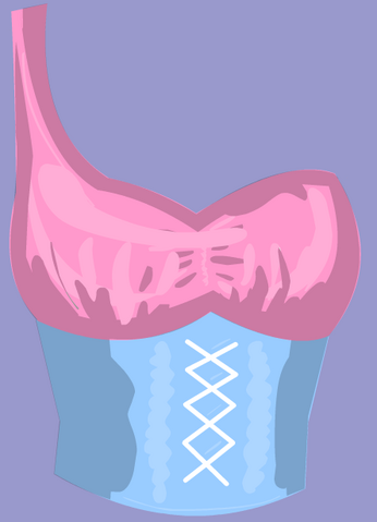 File:RetiredClothing-BlueRose.png