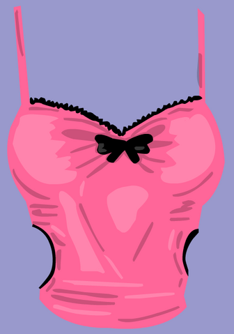 File:RetiredClothing-BathingsuitTop.png
