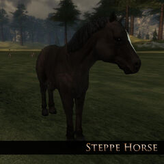 Steppe Horse 1