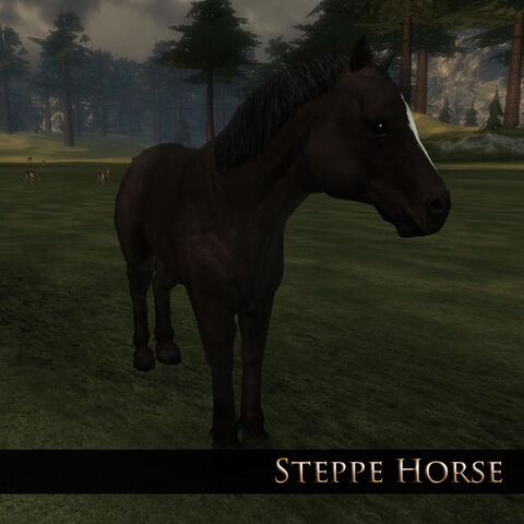 File:Steppe Horse 1.jpg