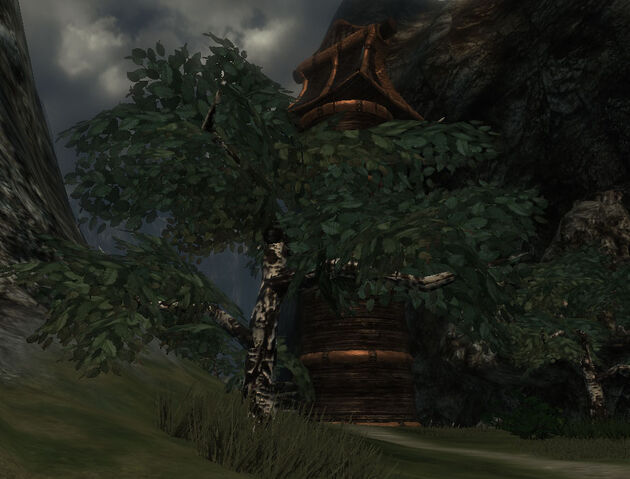 File:Dapplewood Tree.jpg